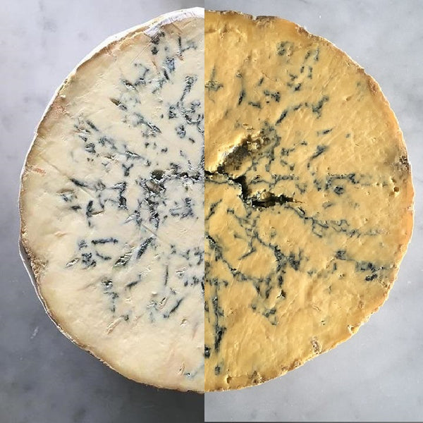 Ask a Cheesemonger: What is Blue Cheese?