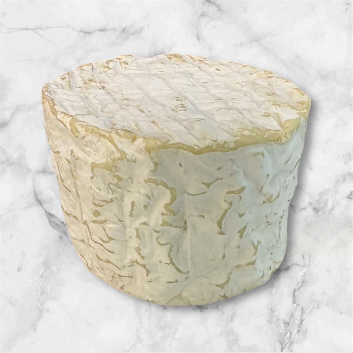 Chaource &quot;Fromagerie Rouzaire&quot;